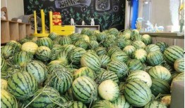 今日吃瓜官网,揭秘娱乐圈最新热点，带你畅游八卦海洋